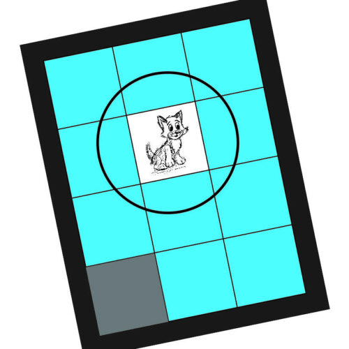 Bring the Cat Out Puzzle