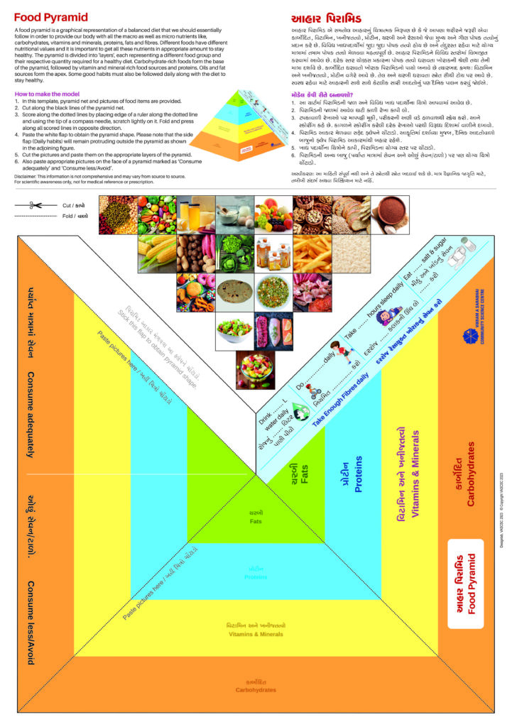 make-a-food-pyramid-50-nos-science-shop